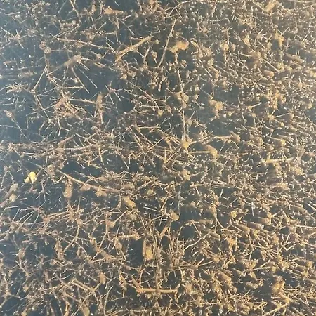 Apartman Direkt Am Kurpark Mit Gradierwerk Solestadt Bad Dürrenberg