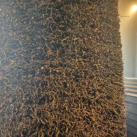 Direkt Am Kurpark Mit Gradierwerk Solestadt *