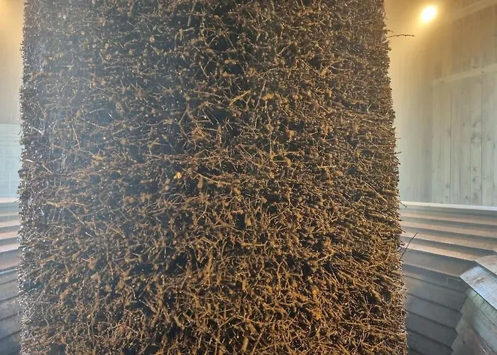 Direkt Am Kurpark Mit Gradierwerk Solestadt *